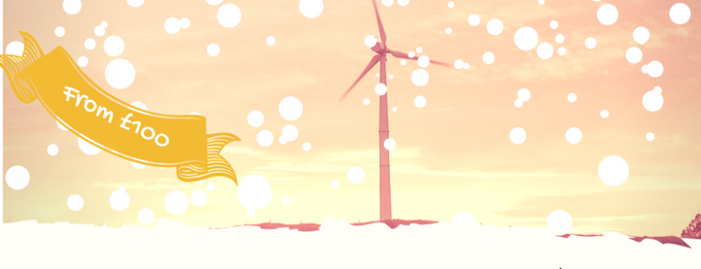 Picture of a snowy wind turbine and holly