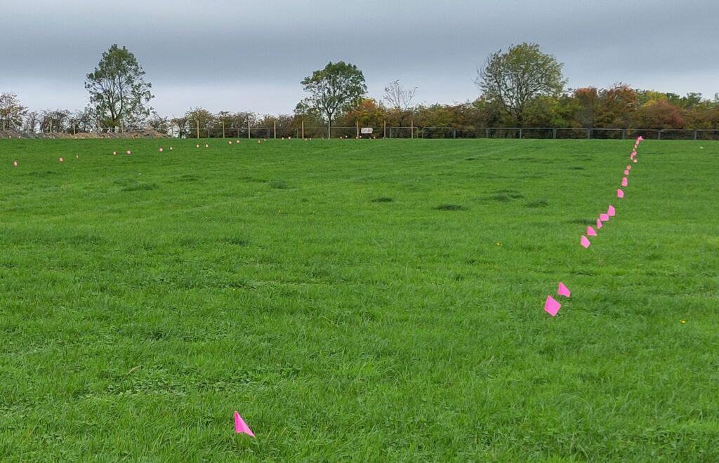 Lines of pink flags showing the piling positions laid out up a gently sloping green field.